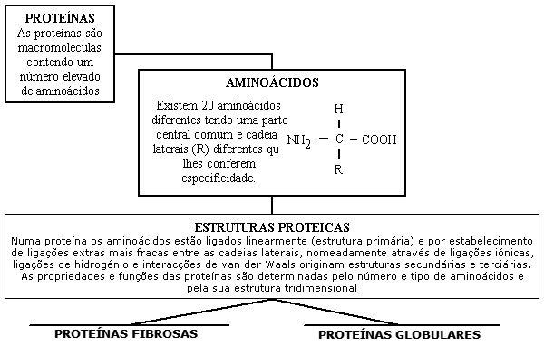 proteinas. Proteínas